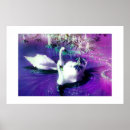 Suche nach swan poster Birds