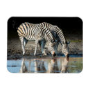 Suche nach botswana magnete Tier