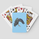 Suche nach crow spielkarten Rabe
