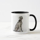 Suche nach weimaraner tassen Vertikal