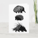 Suche nach stachelschwein karten Igel