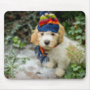 Suche nach welpen mousepads Hund