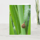 Suche nach snail karten Natur