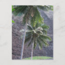 Suche nach kauai postkarten Pali