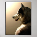 Suche nach sibirischer husky poster Alaskan malamute