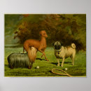 Suche nach möpse poster Hund