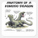 Suche nach komodo aufkleber Reptil