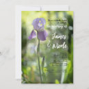 Suche nach schwertlilie Blumen