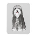 Suche nach collie magnete Hund