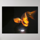 Suche nach nishikigoi poster Japanisch
