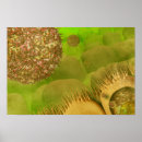 Suche nach darm poster Biologie