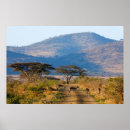Suche nach gallo poster Color image