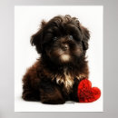 Suche nach wels poster Liebe