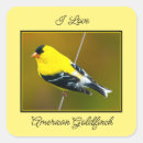 Suche nach goldschmiede aufkleber Goldfinch