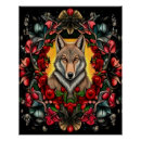 Suche nach coyote poster Kojot