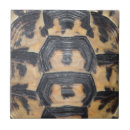 Suche nach schildkröte muschel fliesen Reptil