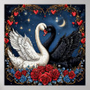 Suche nach schwarzer schwan poster Schwäne