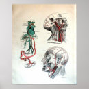 Suche nach kreislaufsystem poster Anatomie