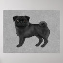 Suche nach schwarzer mops poster Niedlich