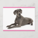 Suche nach doggen postkarten Welpe