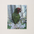 Suche nach wilde papageien puzzle Für alle