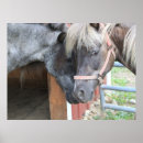 Suche nach pony poster Jede person