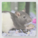 Suche nach ratte untersetzer Niedlich