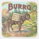 Suche nach burro Mexiko