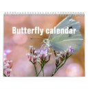 Suche nach schmetterlinge kalender Fotografie