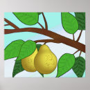 Suche nach birnen post poster Obst