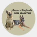 Suche nach polizeihunde aufkleber Gsd