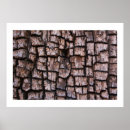 Suche nach alligator poster Jede person