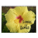 Suche nach hawaii kalender Fotografie