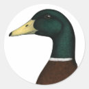 Suche nach drake aufkleber Ziehen