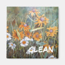 Suche nach sauer magnete Blume