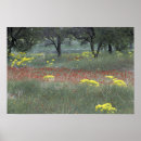 Suche nach l poster Baum