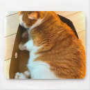 Suche nach orange miezekatze elektronik zubehör Katzenliebhaber