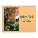 Suche nach pflanzen kalender Blume