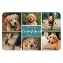 Suche nach pets magnete Für haustiere