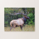 Suche nach ameisen puzzle Natur