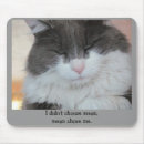Suche nach gemein mousepads Katze