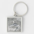 Suche nach selten schlüsselanhänger Seen