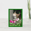 Suche nach lächelnde katze karten Für sie