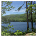 Suche nach new hampshire untersetzer Natur