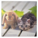 Suche nach hasch fliesen Niedlich