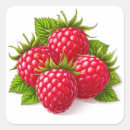 Suche nach himbeere aufkleber Beeren