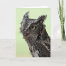 Suche nach der schrei karten Jede person