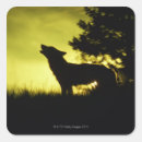 Suche nach heulender wolf aufkleber Tier