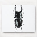 Suche nach käfer mousepads Tiere