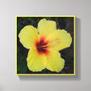 Suche nach aloha leinwandbilder Blume